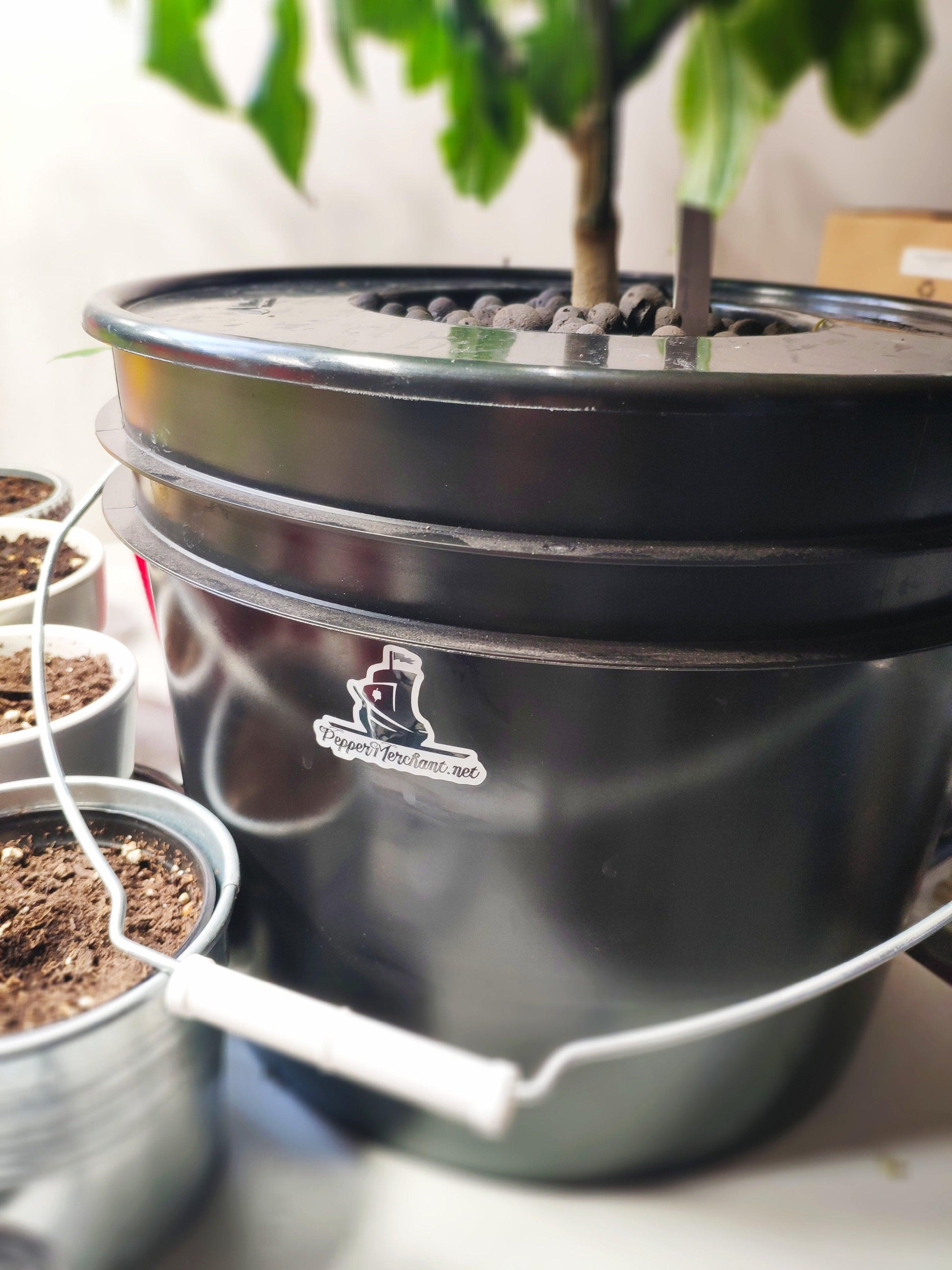 A black plastic pot features a white handle and contains a plant labeled "Pepper's Treehouse" adorned with a PepperMerchant.net Sticker. Smaller pots filled with soil, showcasing premium seeds, encircle the main pot. Some greenery is visible above the pot, suggesting an indoor setup.