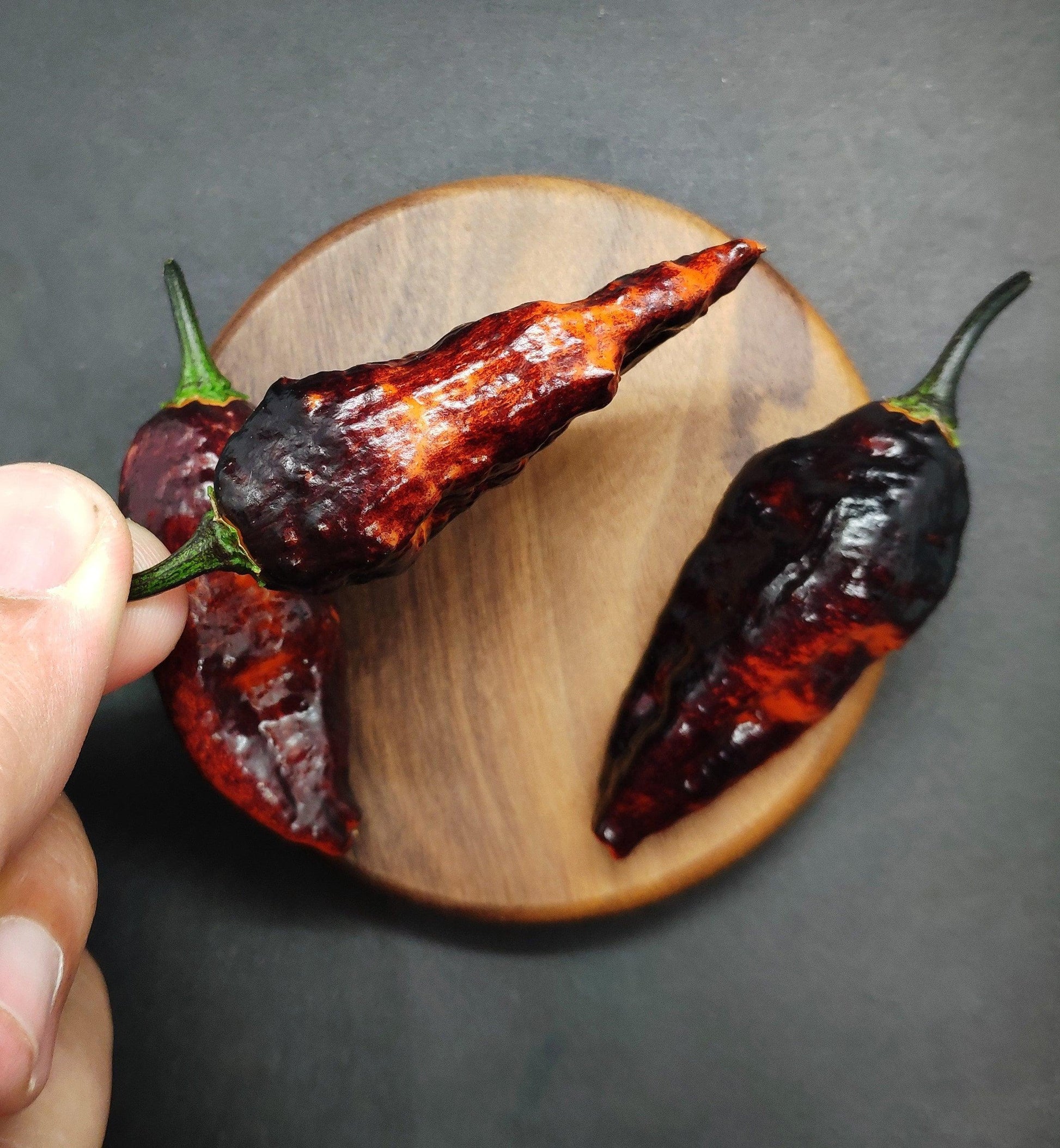 A hand holding a dried, dark red Hallows Eve pepper with two other similar peppers resting on a wooden circular board against a dark background. The intense heat of these peppers from PepperMerchant.net is evident from their wrinkled texture and pointed tips.