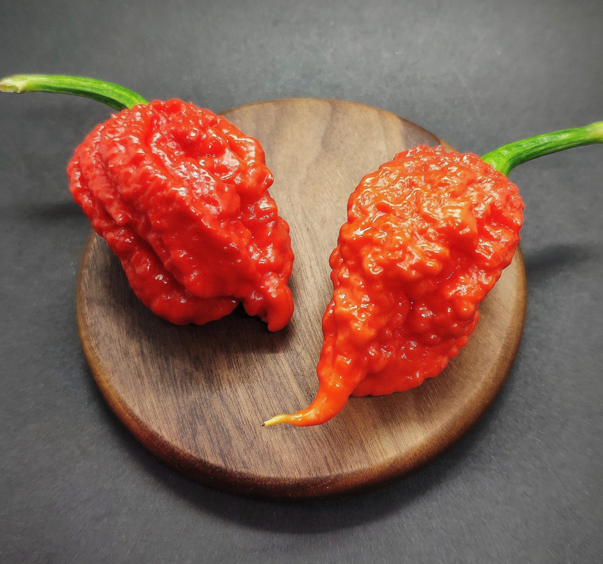 Two 'Beast' chili peppers from PepperMerchant.net, known for their intense heat and complex flavor profile, rest on a wooden circular surface against a dark background. These red Carolina Reaper peppers have wrinkled, textured skin and green stems, and are positioned with their tips pointing towards each other.