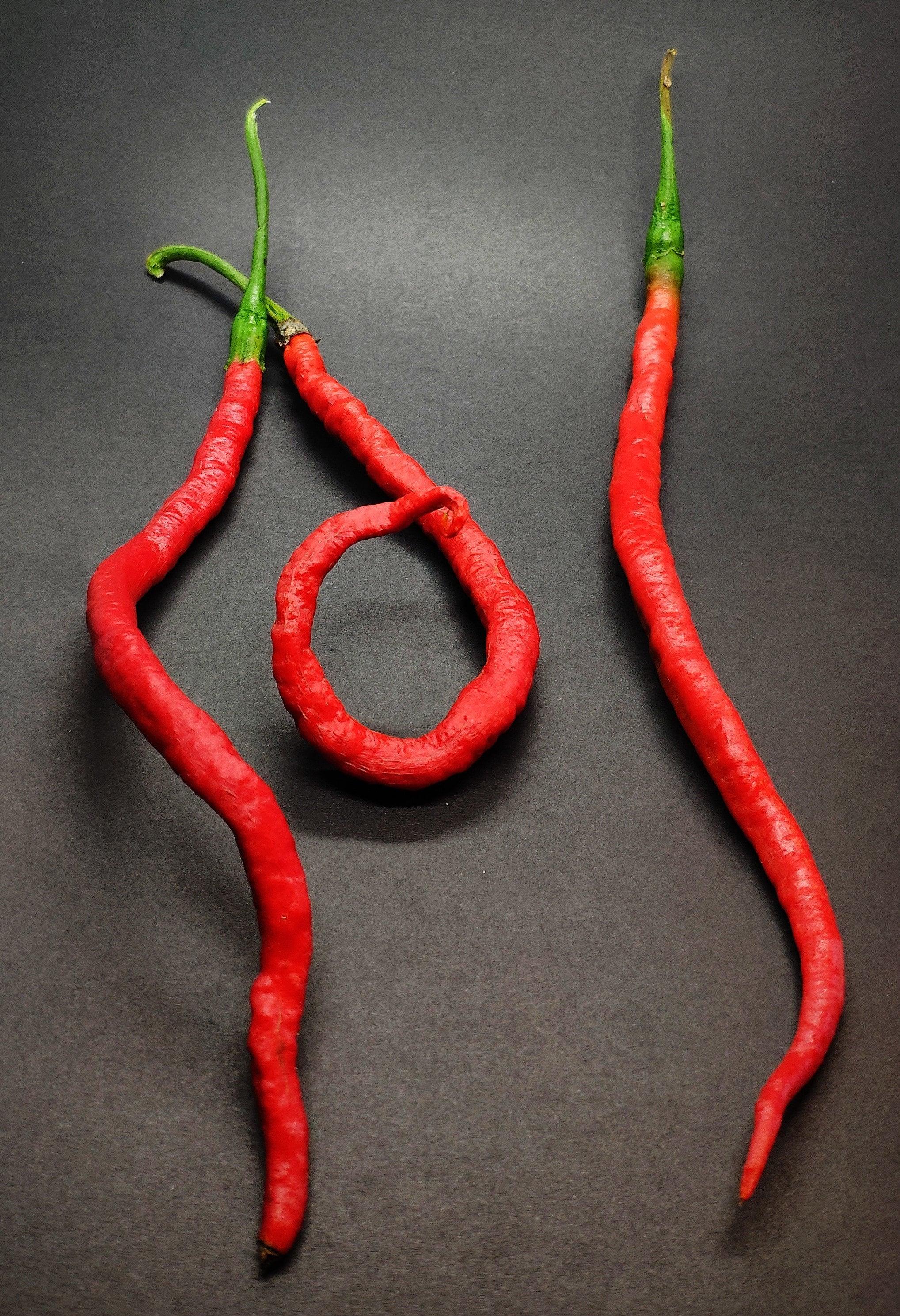 thumbnail image 2 of Thunder Mountain Longhorn Pepper Seeds - Heirloom Chili, Sustainably Grown In Australia (10 Seeds) 2 of 13