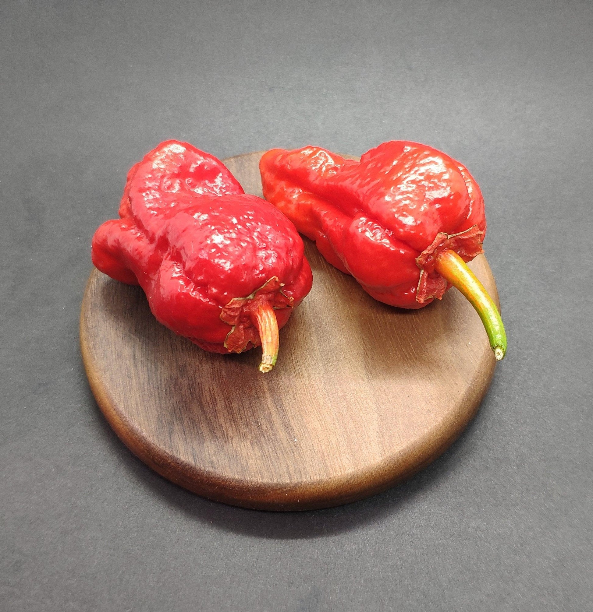 7 pot bubblegum plant Bubblegum