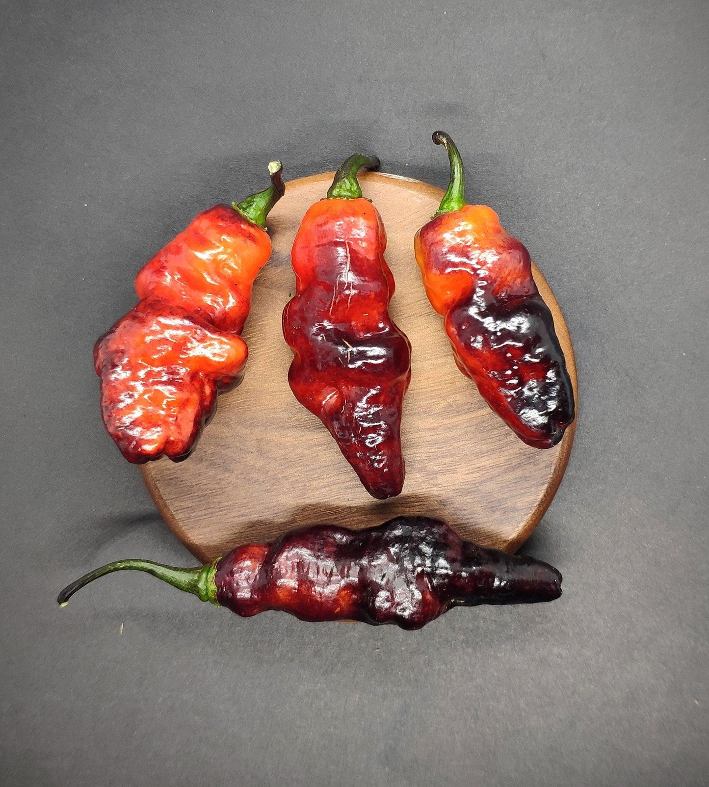 Four wrinkled, Black Ruby Red chili peppers from PepperMerchant.net are displayed on a small, round wooden board with a dark background. The peppers, possibly from F4 seeds and boasting 400,000 SHU heat levels, have green stems and vary slightly in shape and size.