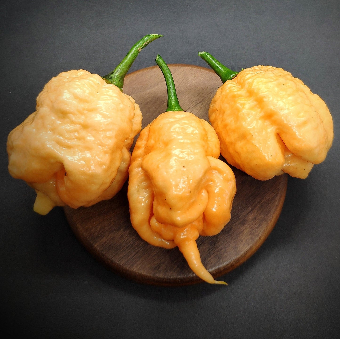 Three Star Scream peppers from PepperMerchant.net, pale peach in color and uniquely wrinkled and bumpy, are arranged on a round wooden platform against a dark background. Each pepper features green stems and an irregular shape that highlights their distinct texture. These superhot peppers may contain seeds that pack quite the fiery punch.