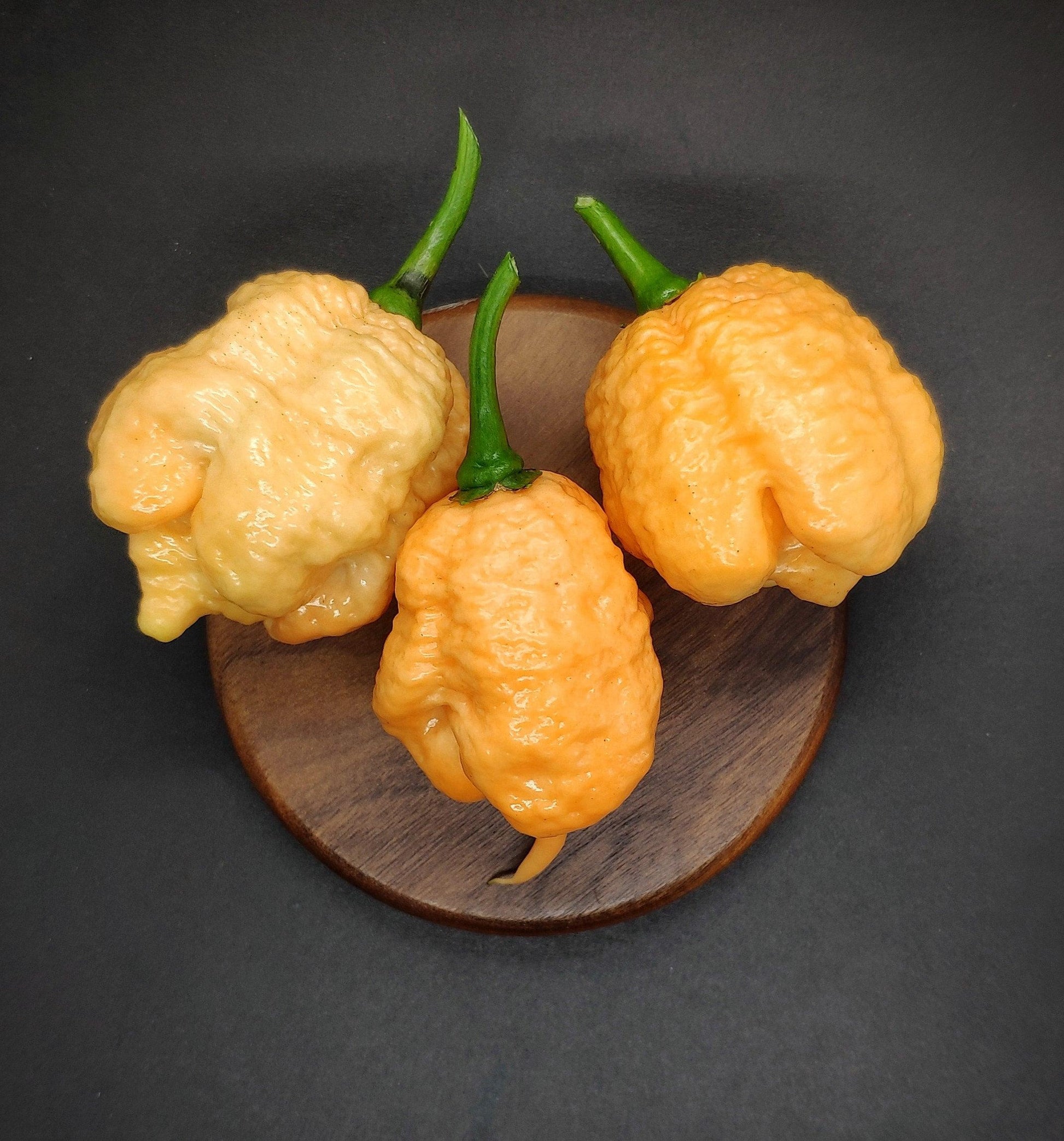 Three orange and light yellow Star Scream peppers with green stems from PepperMerchant.net are arranged on a round wooden plate, set against a dark background. The superhot peppers have a wrinkled, bumpy texture, hinting at the seeds within.