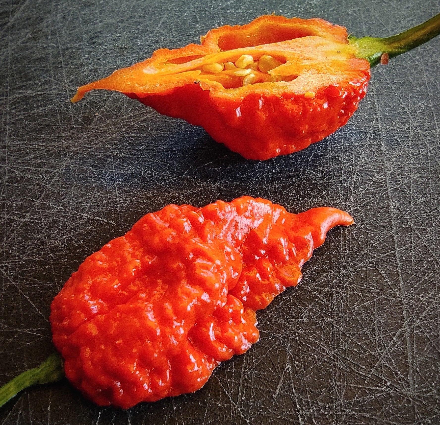 A sliced bright red Beast chili pepper from PepperMerchant.net with a wrinkled texture is placed on a dark surface. One half reveals its seeds inside, hinting at their complex flavor profile, while the other half lies flat.