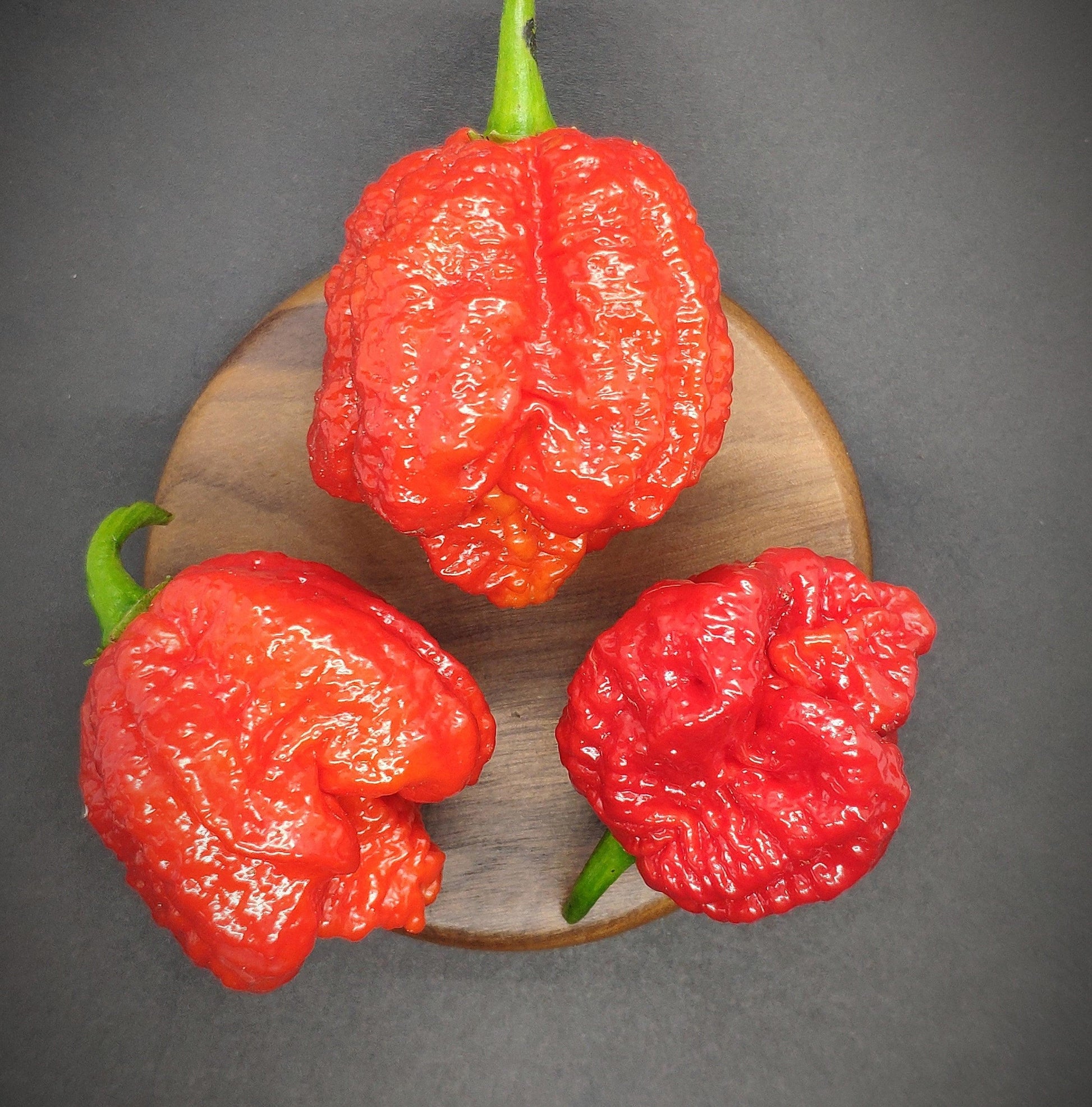 Three vibrant red, wrinkled Bismarck Peppers with green stems from PepperMerchant.net are arranged on a round wooden surface set against a dark background, each packing an intense 900 SHU.