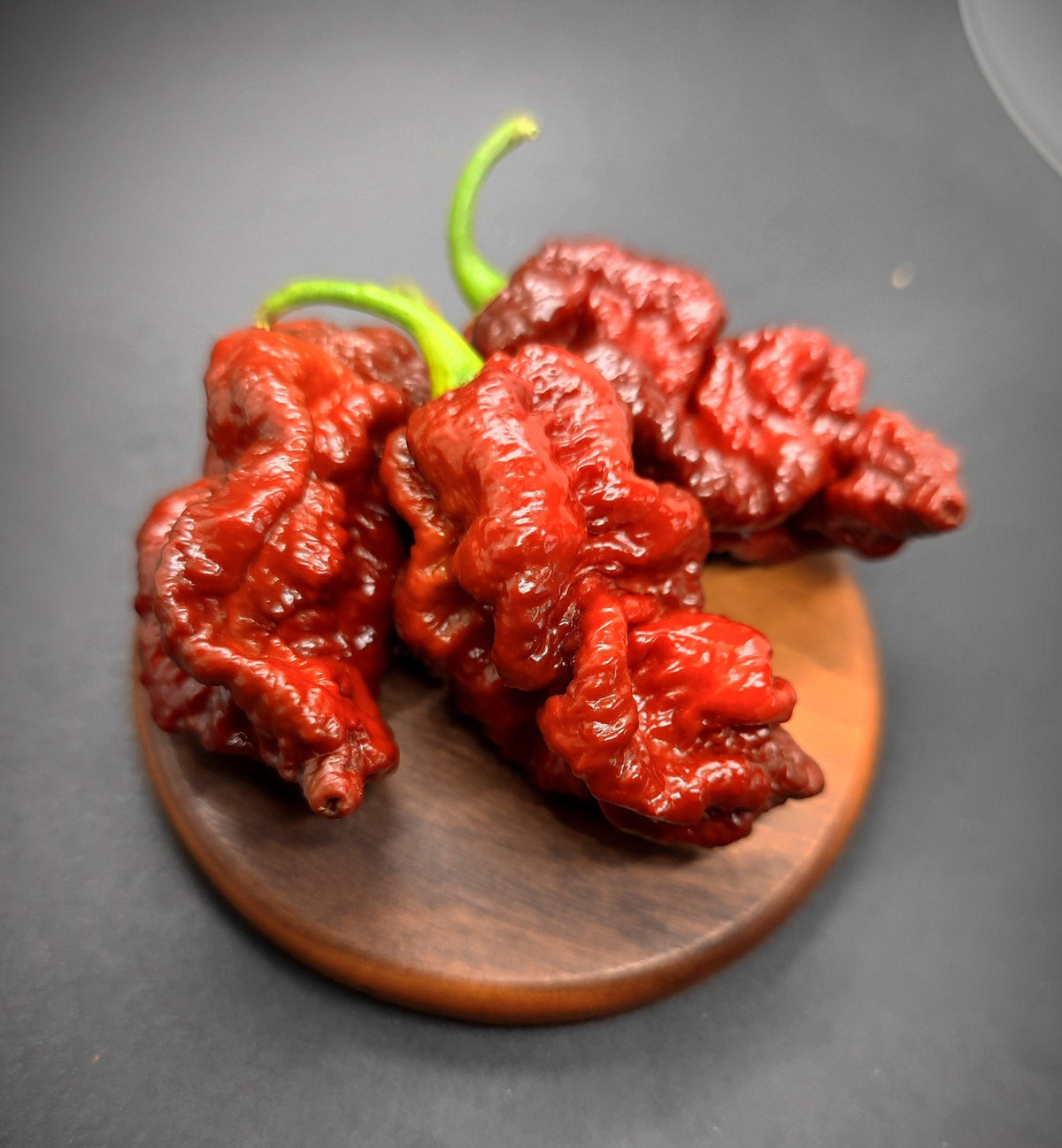 Bumpy Chilli Pepper Bismarck Long – PepperMerchant.net