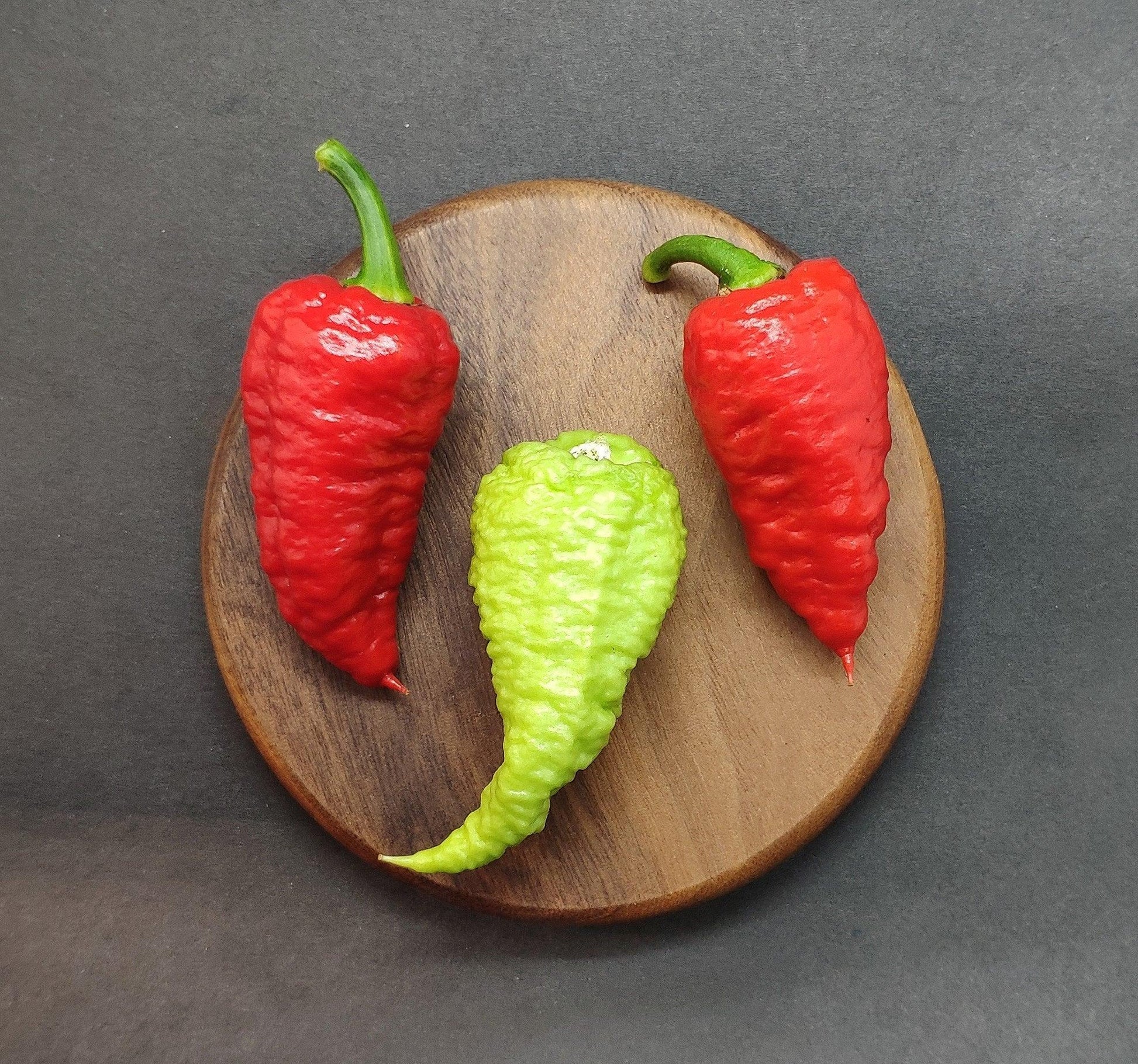 Three wrinkled Devil's Brain peppers from PepperMerchant.net sit on a round wooden plate against a dark background. Two of the peppers, known for their complex flavor profile, are red, while one in the center is green. The rough, textured surface of these Devil's Brain pepper seeds is arranged in a triangular formation.