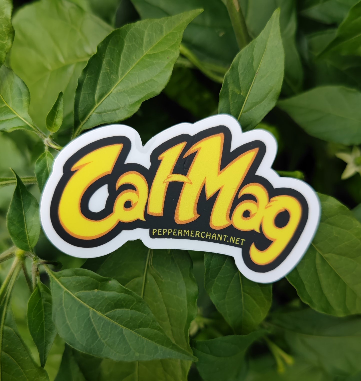Cal-Mag Cheetos Sticker