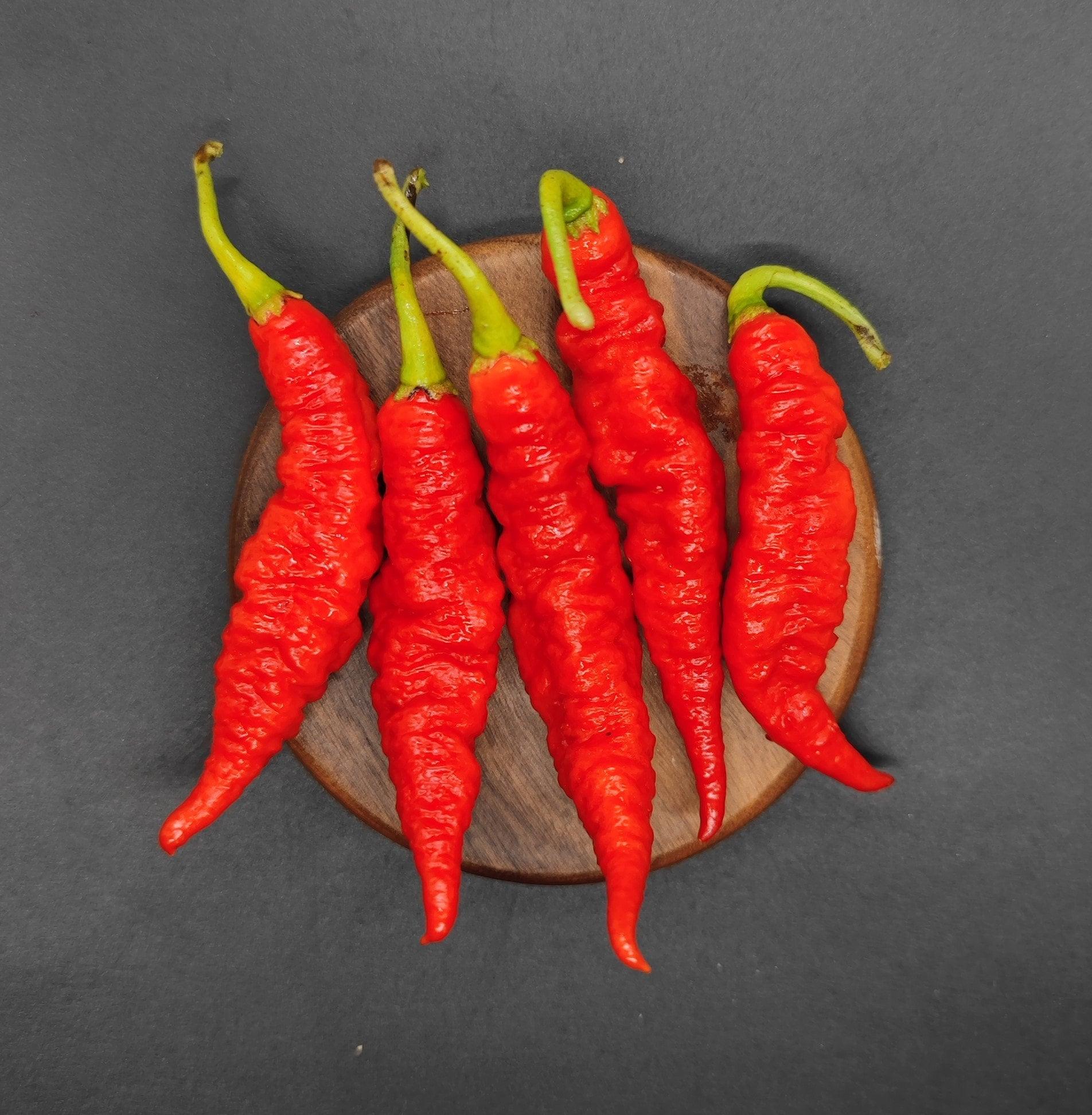 Five Crazy Head DD Red chili peppers from PepperMerchant.net, with green stems, are arranged on a small, round wooden cutting board against a dark, textured background. The peppers have a long, twisted shape and bumpy exterior that contribute to their glossy surface.