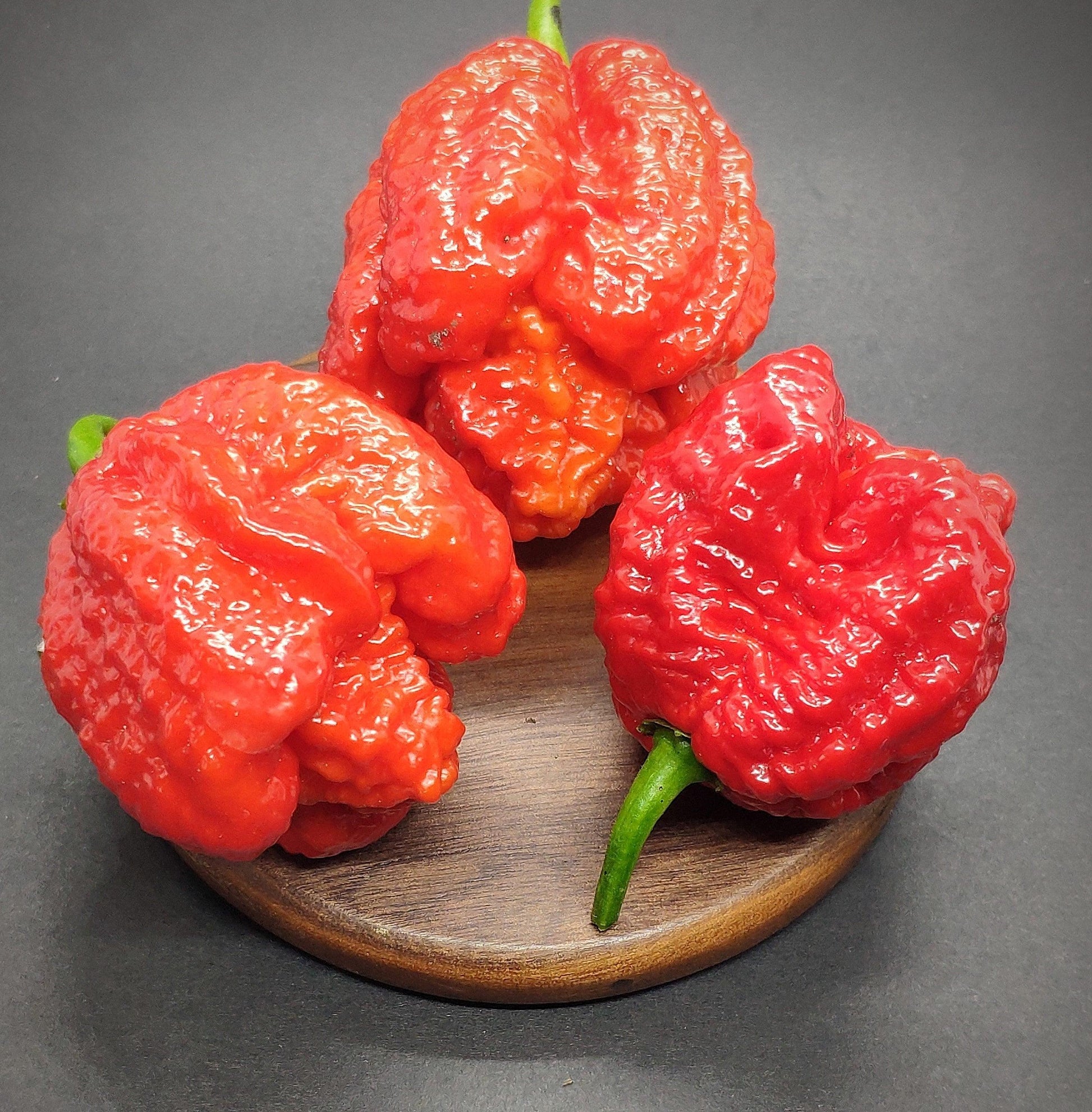 Three bright red, wrinkled Carolina Reaper peppers with green stems are displayed on a small, round wooden surface against a dark background. The bumpy, textured surface of these peppers suggests their intense heat. Known to reach up to 900,000 SHU, they are often compared with the elusive Bismarck Pepper Seeds from PepperMerchant.net.