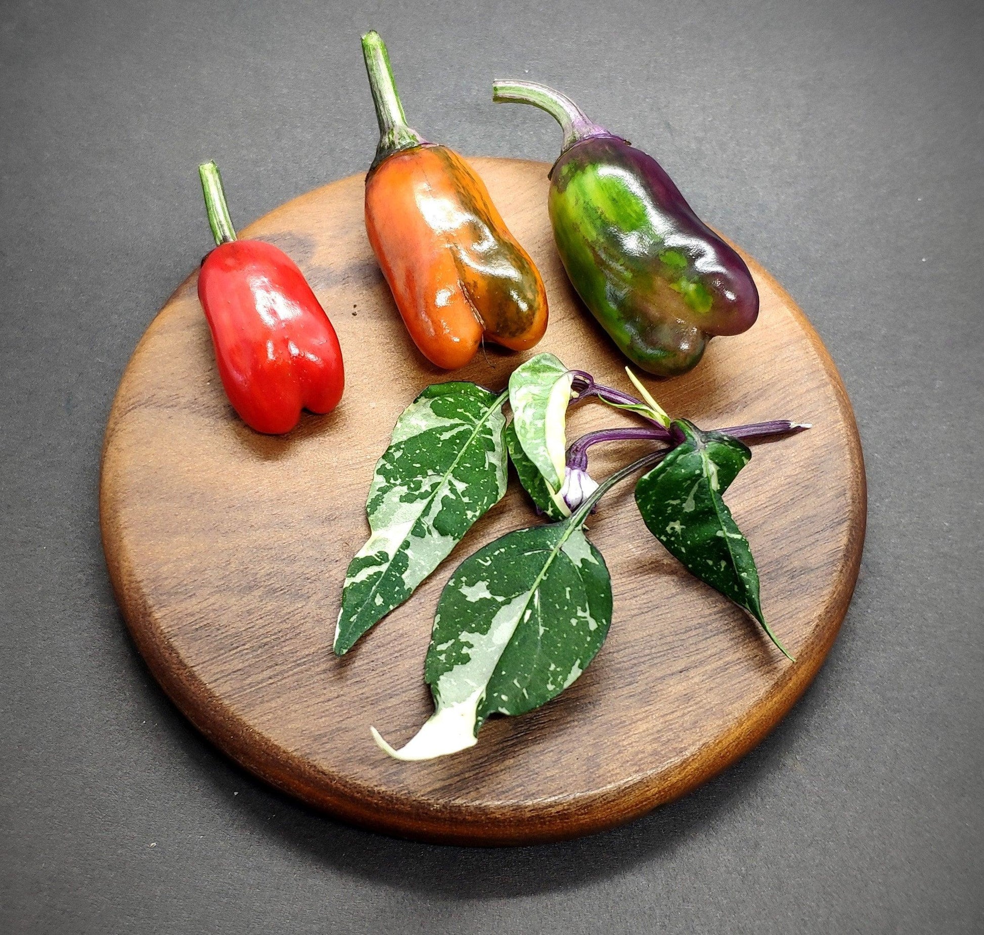 A RH Lilac wooden round board from PepperMerchant.net holds three peppers, varying in color from red to green, and three green leaves with variegated foliage. The dark background highlights the vibrant colors of the peppers and ornamental pods.