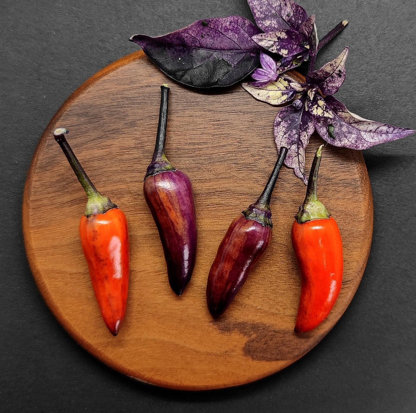 A round wooden plate on a dark background holds four vibrant chilies from PepperMerchant.net's Dreamcatcher collection, arranged in a captivating line. Two red chilies frame the scene, while two rare purple Dreamcatcher pepper seeds nestle in between. Above them, two sprigs of dark purple-veined leaves are placed decoratively.