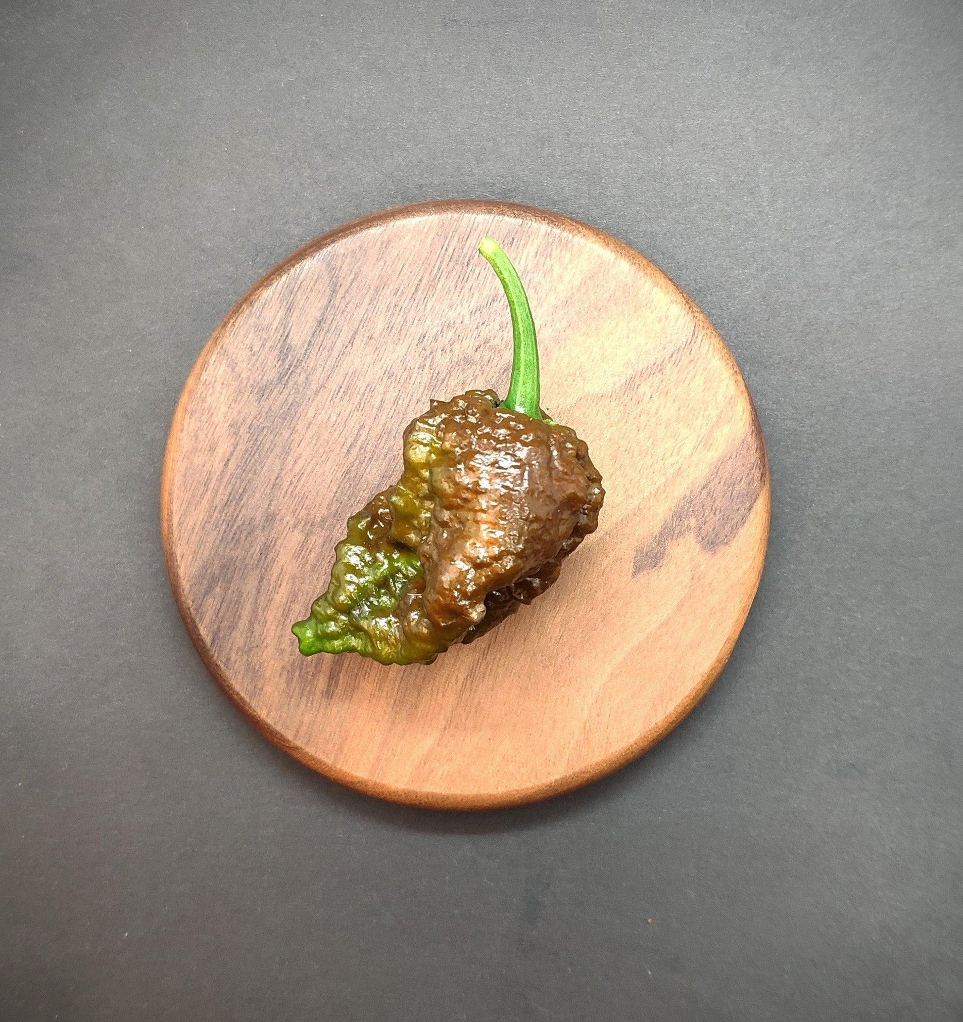 A single Umorok Chocolate pepper from PepperMerchant.net, exhibiting a dark green and brownish hue with a wrinkled texture, rests on a small wooden plate. Known for its superhot seeds, this pepper features a short green stem and is set against a dark gray background.