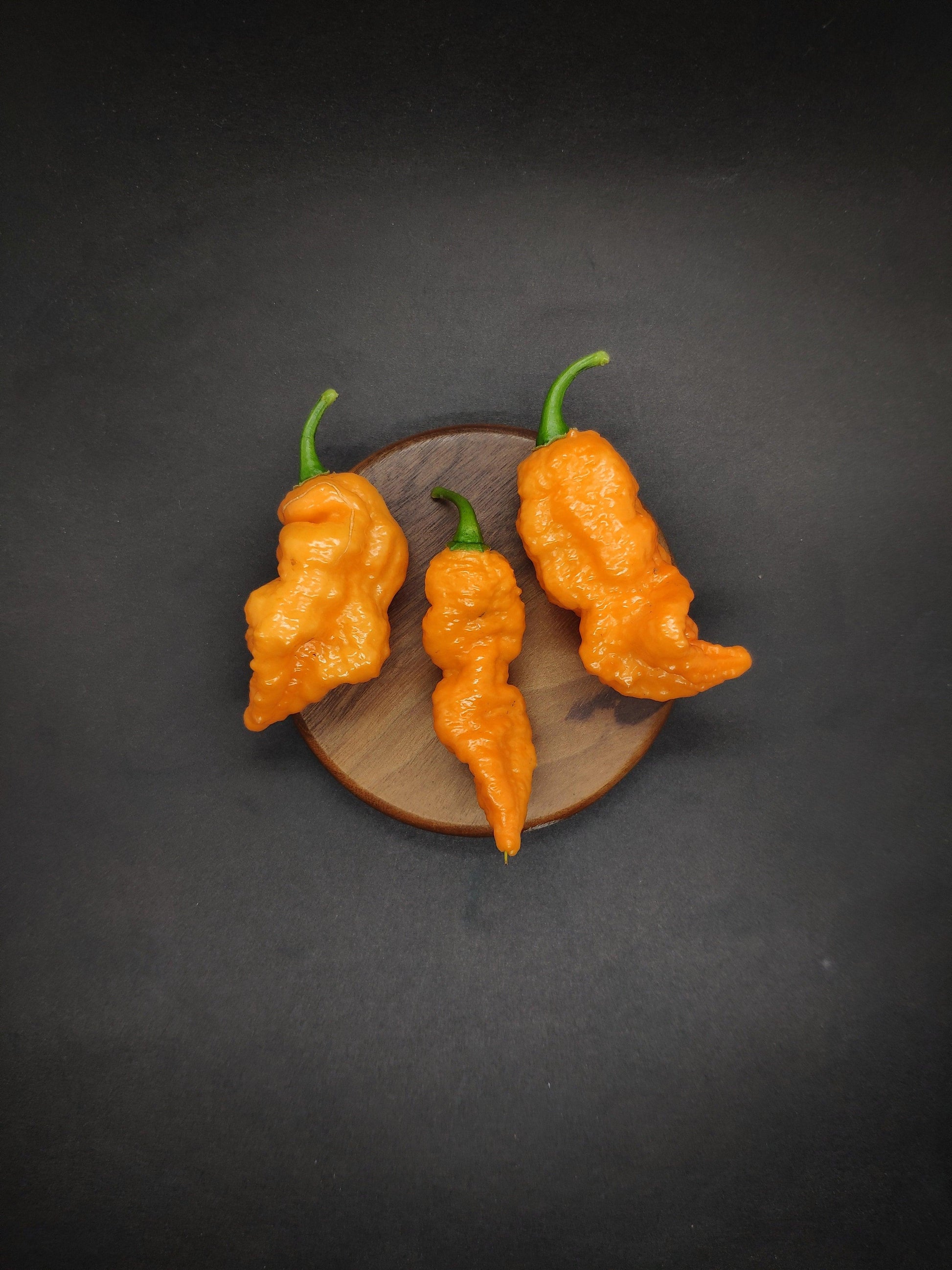 A wooden cutting board holds three vibrant, super fruity Orange Gum x Naga Brains peppers from PepperMerchant.net. Each pepper features a slightly wrinkled and elongated shape, with green stems that curve gently against the dark background, highlighting the vivid color of these hot peppers.