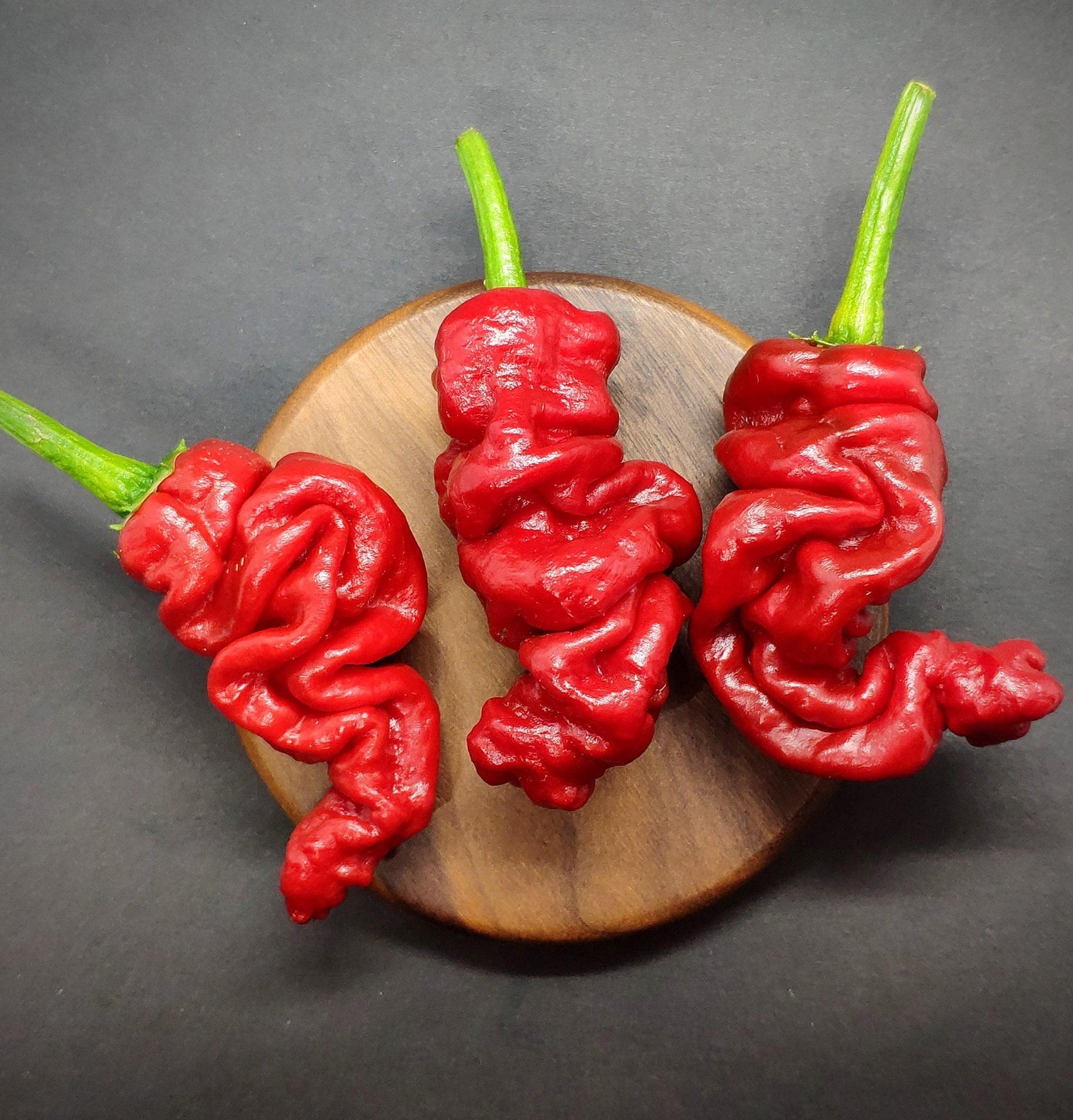 Three deep red Zou-Pi peppers from PepperMerchant.net, each with long green stems, are arranged on a small, round wooden board against a dark background. The peppers have a wrinkled and twisted appearance, showcasing their unique pod shape and giving them a fiery look.