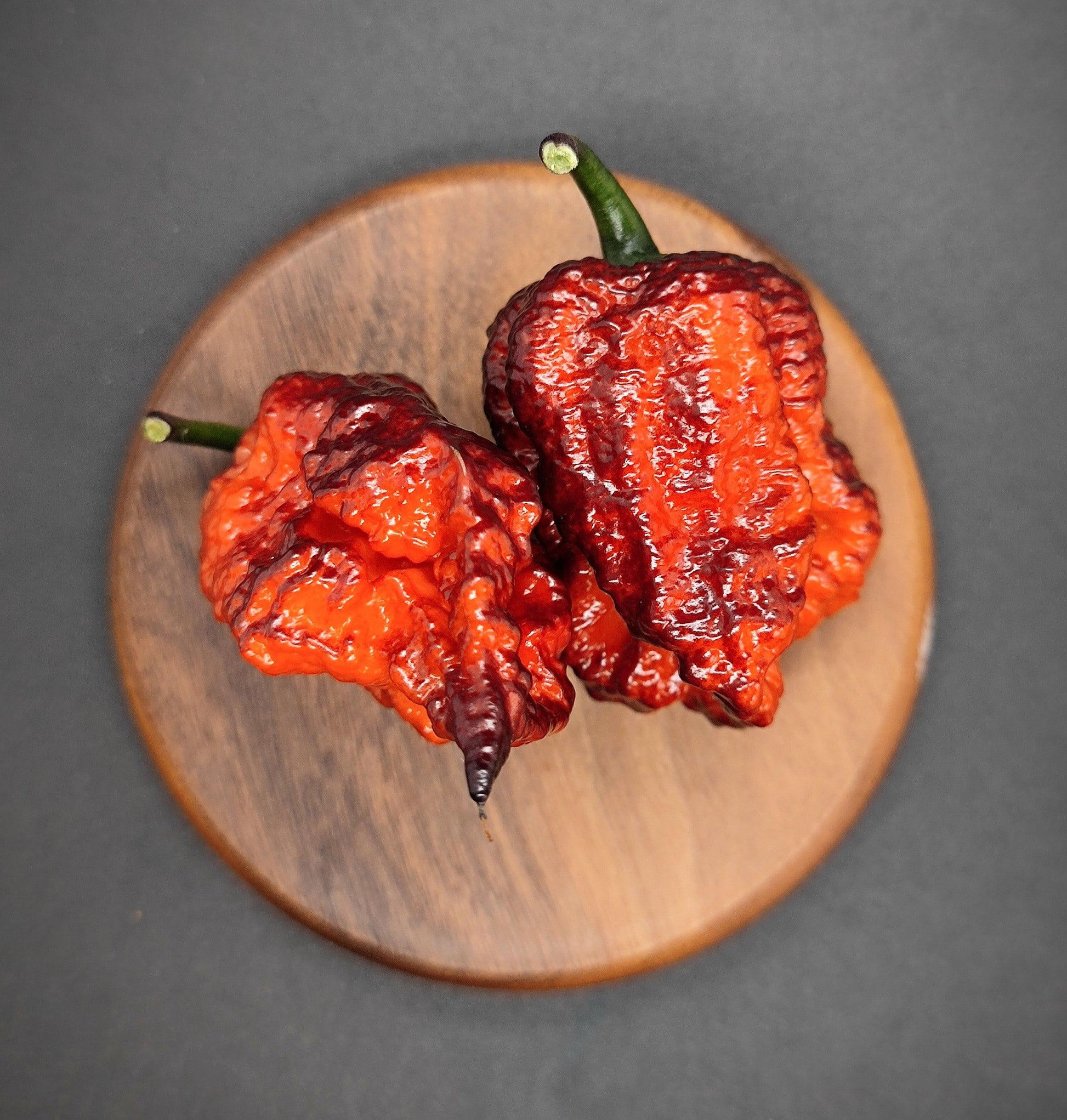 Two large Carolina Reaper peppers, renowned for their extreme spiciness, rest on a round wooden board. These vivid red peppers with bumpy, wrinkled textures and short green stems are accompanied by an equally fierce Orion - Gnarly Pheno from PepperMerchant.net, all set against a dark background.