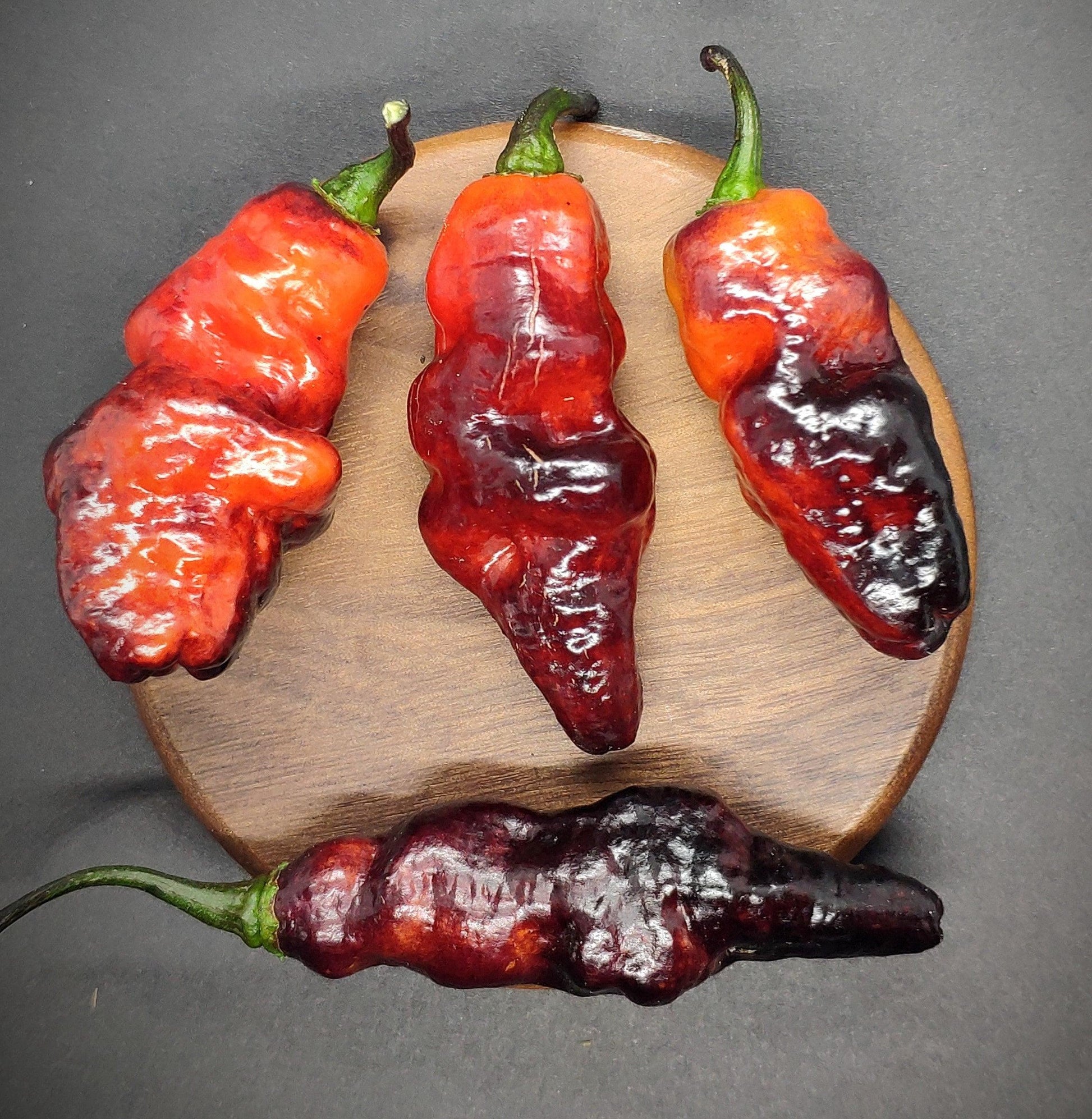 Four irregularly shaped Black Ruby Red peppers from PepperMerchant.net, with green stems, are displayed on a round wooden plate against a black background. The peppers have a glossy, wrinkled appearance, showcasing their vibrant red and dark purple hues.