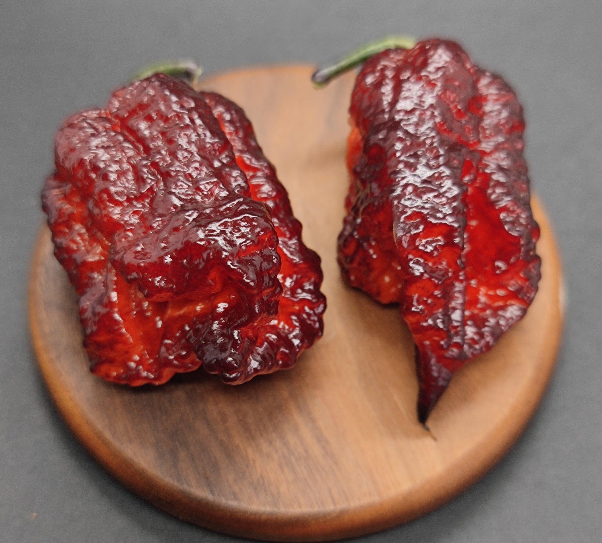 Two wrinkled, dark red Orion - Gnarly Pheno chili peppers from PepperMerchant.net rest on a small round wooden board. Their glossy, bumpy texture and deep color suggest an intense level of spiciness. They are positioned side by side on a smooth, dark gray surface.