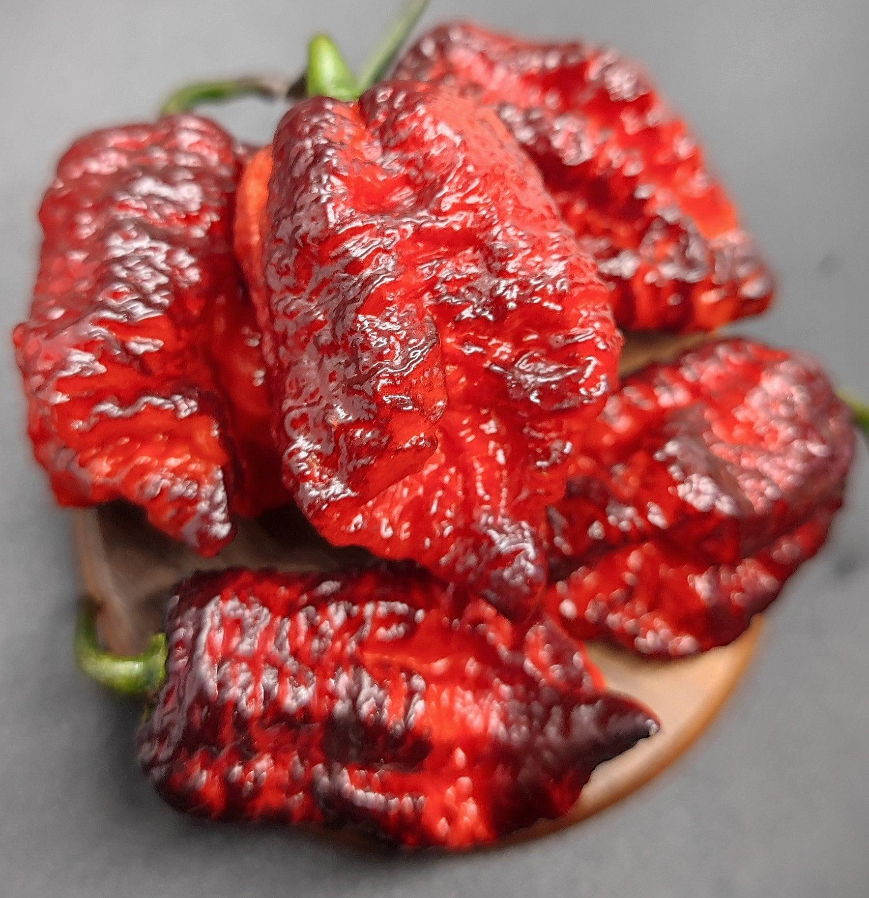 Close-up image of a cluster of deep red Orion - Gnarly Pheno peppers from PepperMerchant.net on a dark surface. The peppers appear wrinkled and bumpy, with a glossy sheen highlighting their intense coloration. Green stems are partially visible, adding a pop of contrasting color, reminiscent of the fiery intensity seen in Big Red Mama varieties.