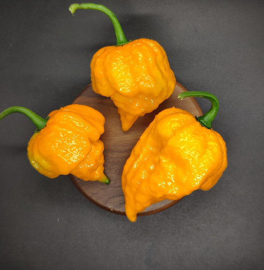 Three bright Yellow Fever peppers from PepperMerchant.net, with wrinkled skin and green stems, are arranged on a round wooden surface against a dark gray background. The unique shape and vibrant color of these citrusy hot peppers stand out prominently.