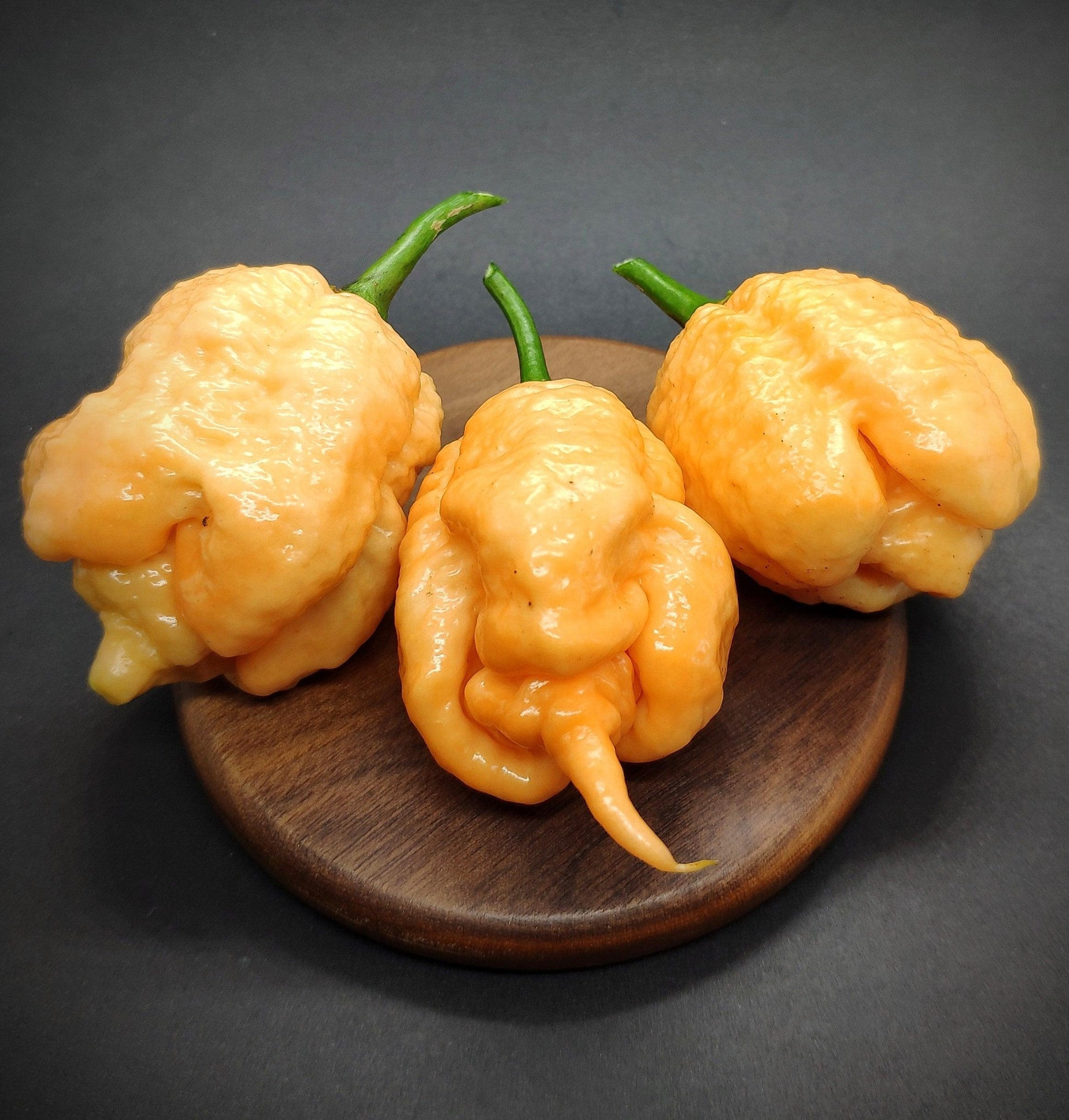 Three Star Scream peppers from PepperMerchant.net, with their orange hues and green stems, are displayed on a round wooden surface against a dark background. These superhot peppers have a bumpy, irregular texture and a vivid color.