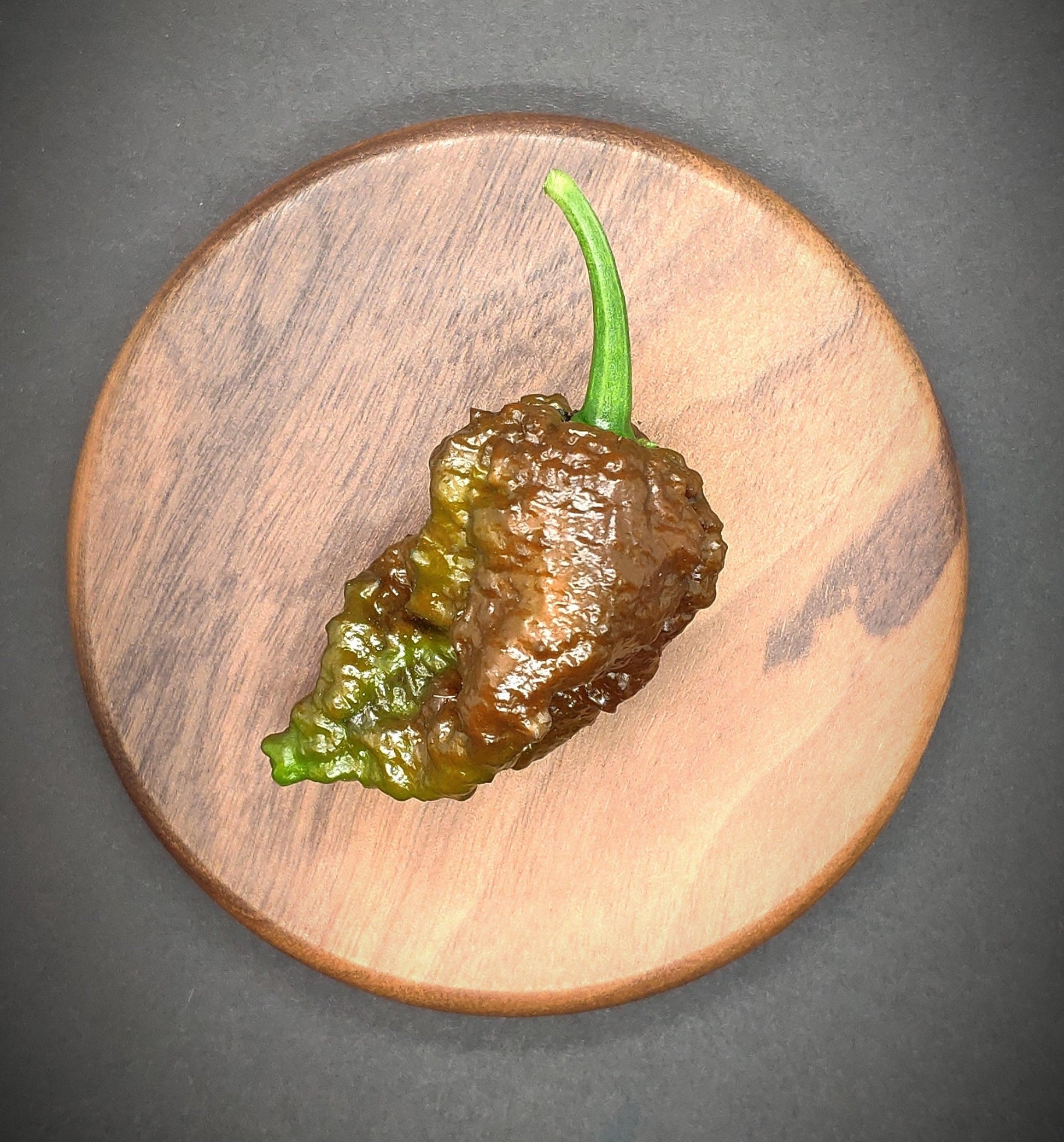 A single Umorok Chocolate pepper from PepperMerchant.net, dark brown and bumpy with a green stem, rests on a round wooden plate placed on a dark surface. The pepper's textured and wrinkled appearance hints at the superhot seeds within.