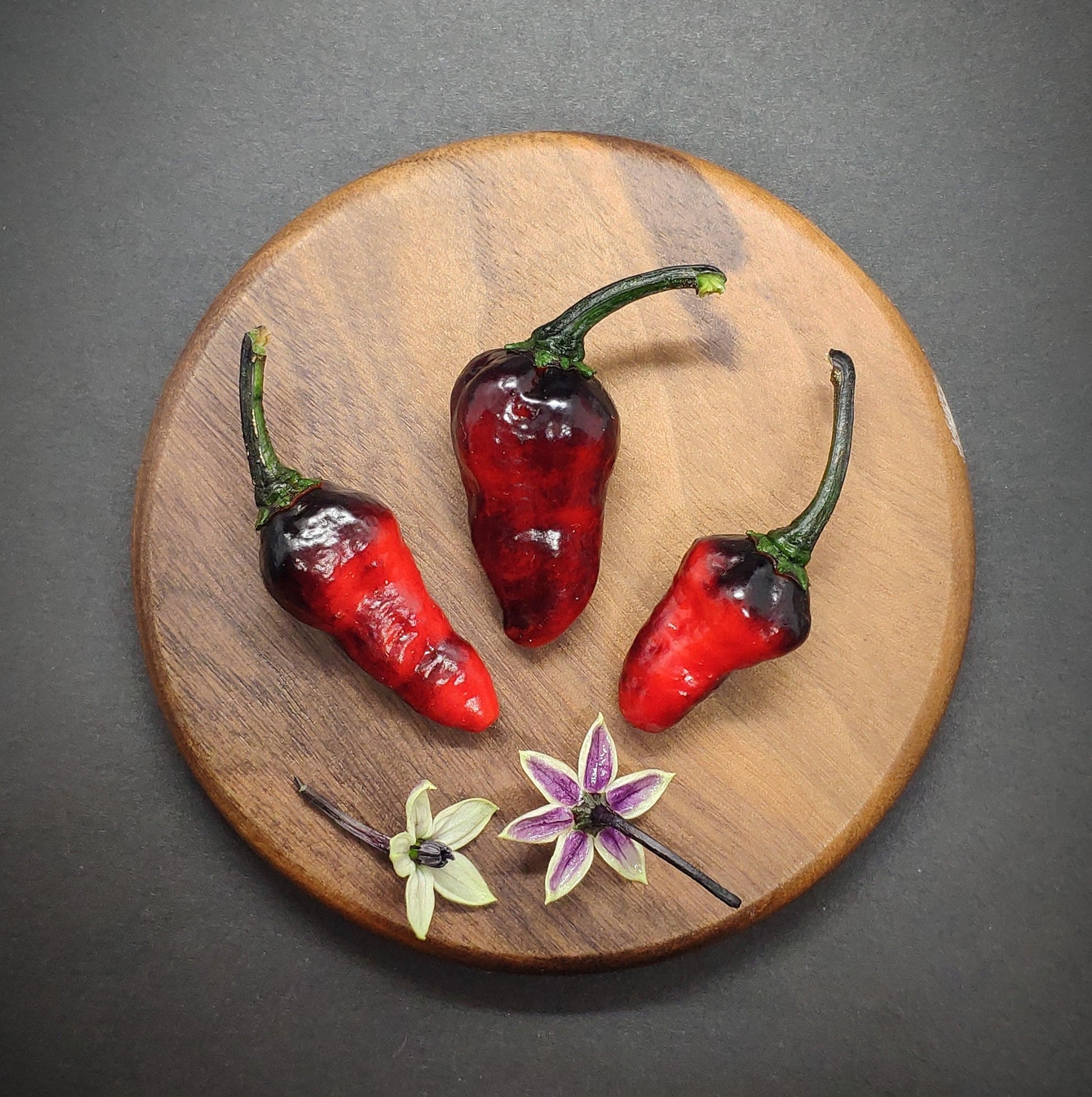 Three small Naga Ember peppers, with their dark, glossy red skin, are arranged on a round wooden board. Two are placed beside a green and purple flower, while a single purple flower lies next to the third pepper. The vibrant colors of the Naga Ember peppers from PepperMerchant.net contrast beautifully against the dark background.