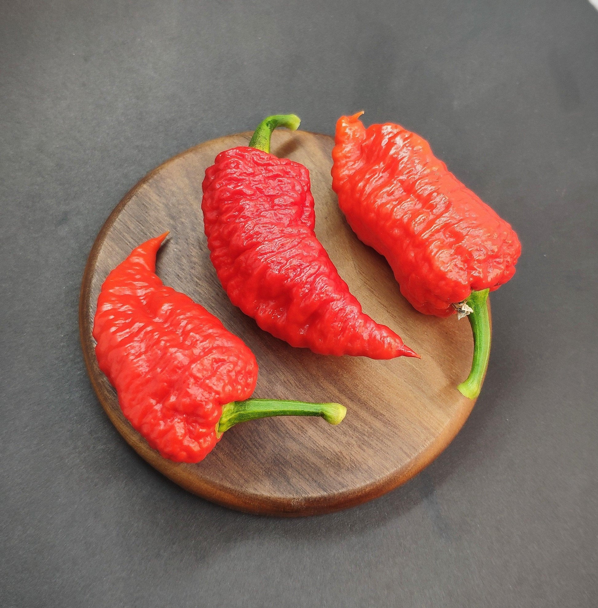 Three vibrant red Devil's Brain peppers from PepperMerchant.net with wrinkled skin and green stems sit on a round wooden board against a dark background. Arranged in a triangular pattern, each pepper boasts its own unique shape and curvature. Known for their intense heat and complex flavor profile, these chilies promise to excite the senses.