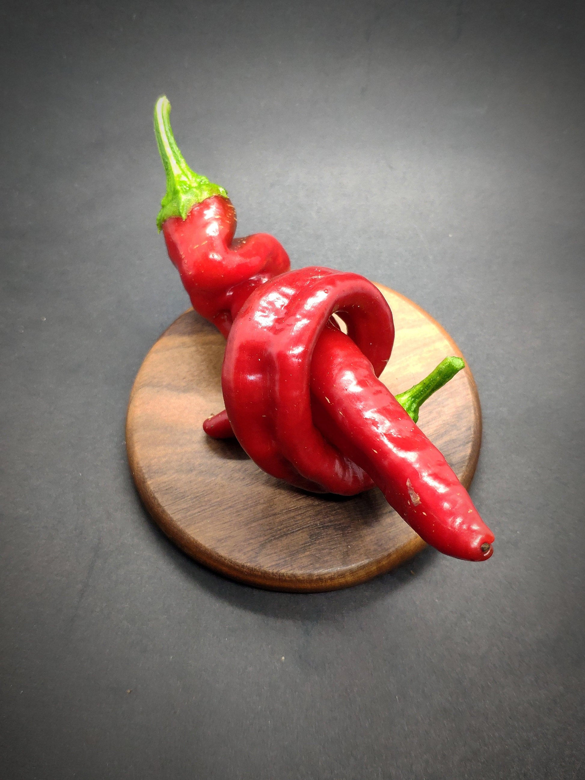 Two intertwined Hangjiao 5 Helix Nebula (HJ5) peppers with green stems are displayed on a round wooden stand against a dark background. One pepper is looped through the other, creating an intricate, twisted shape reminiscent of their unique form. These exquisite peppers are brought to you by PepperMerchant.net.