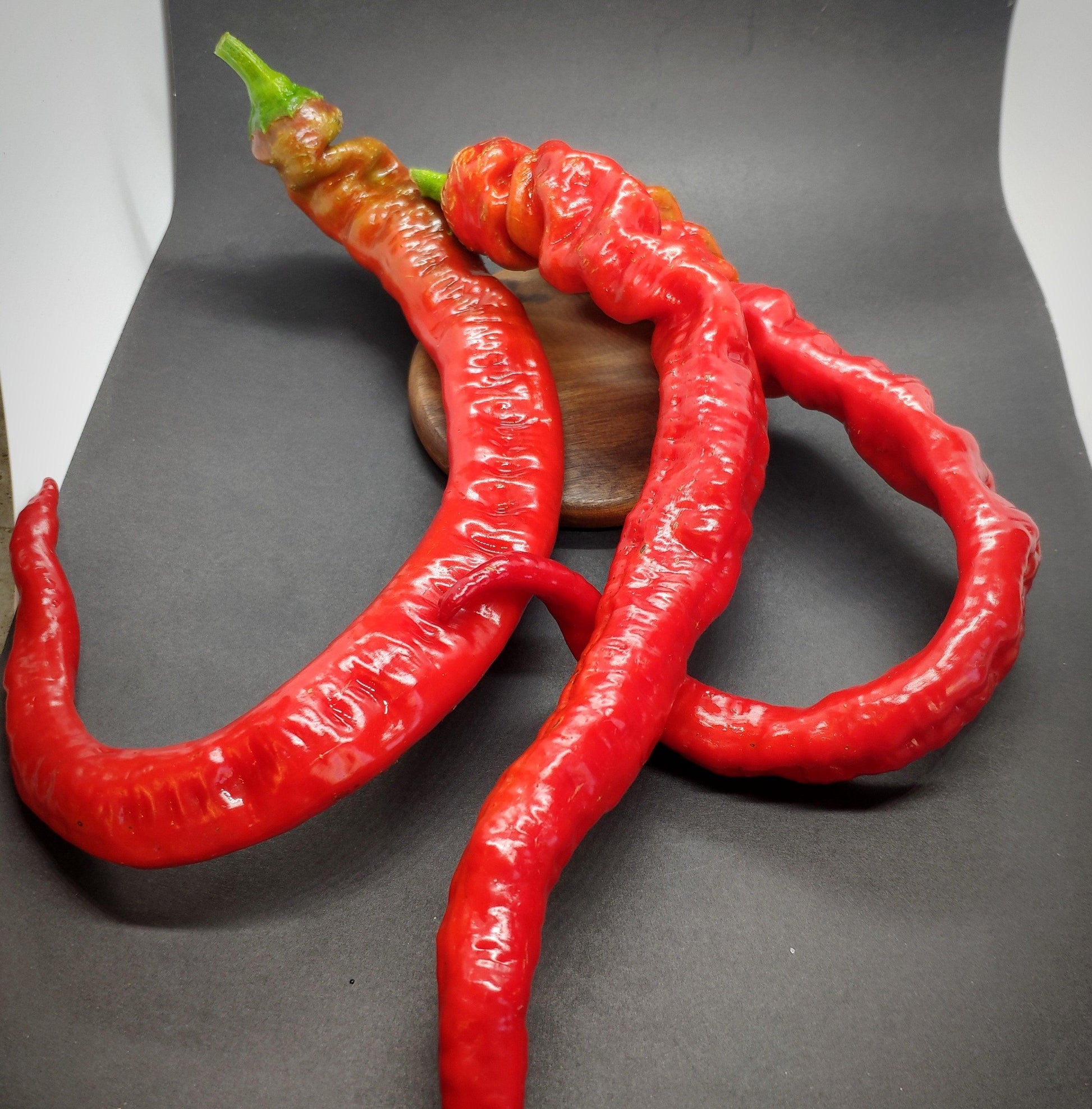 Two long, red Hangjiao 5 Helix Nebula (HJ5) chili peppers from PepperMerchant.net, with a twisty and somewhat bumpy texture, are displayed against a dark background. The peppers have a vibrant color and glossy surface, highlighting their freshness and distinct shape.