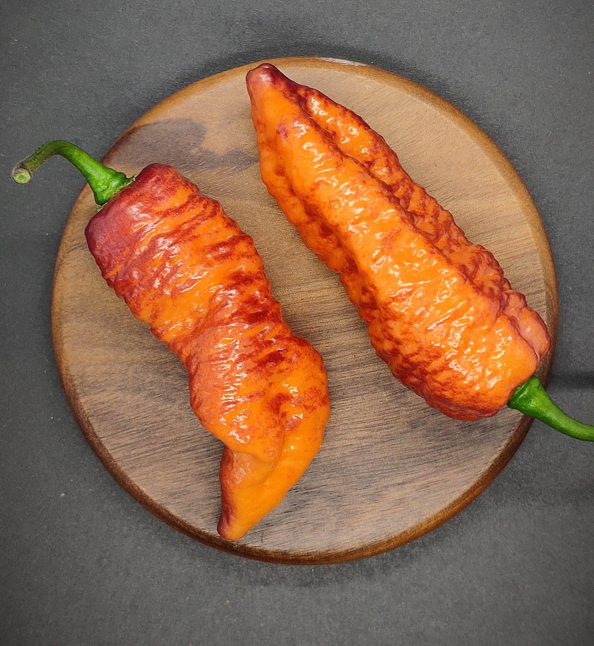 Peperoncino Bhut Jolokia Red - 50 Semi Rari e Facili Peperoncino Bhut Jolokia Red - 50 Semi Rari e Facili
